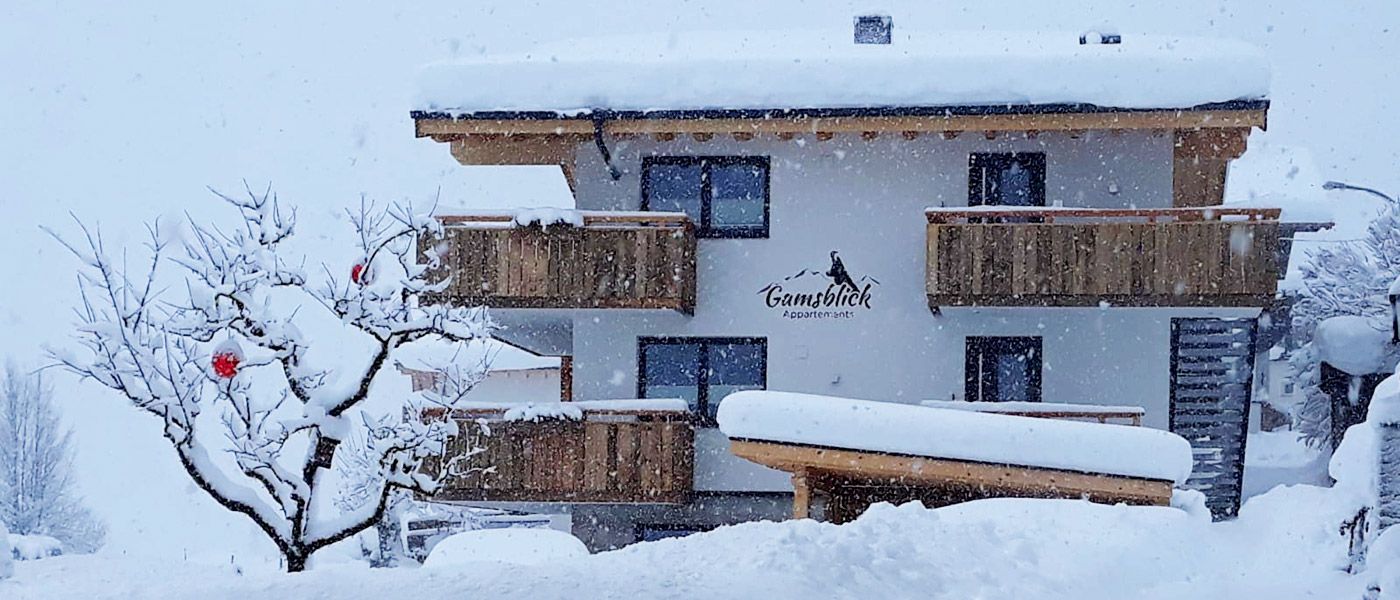 Apartment house Gamsblick Pettnau am Arlberg winter landscape